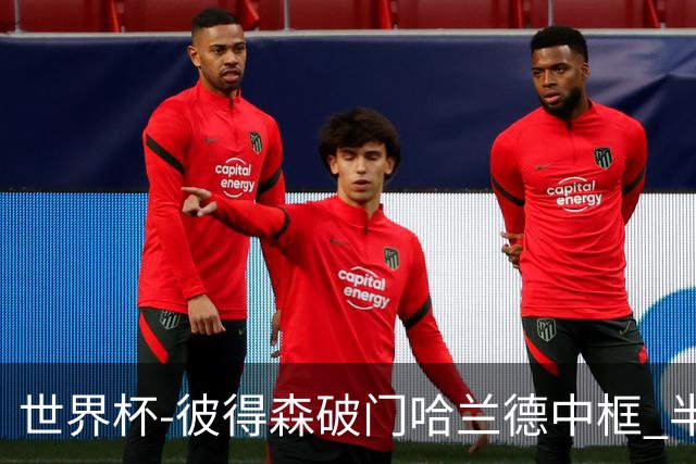 世界杯-彼得森破门哈兰德中框 半场挪威1-0塞内加尔